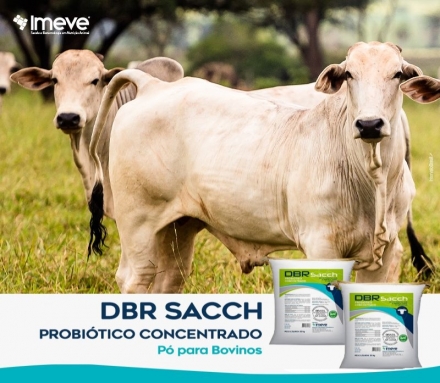 Biggvet Produtos Veterinrios - 