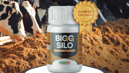Biggvet Produtos Veterinrios - 