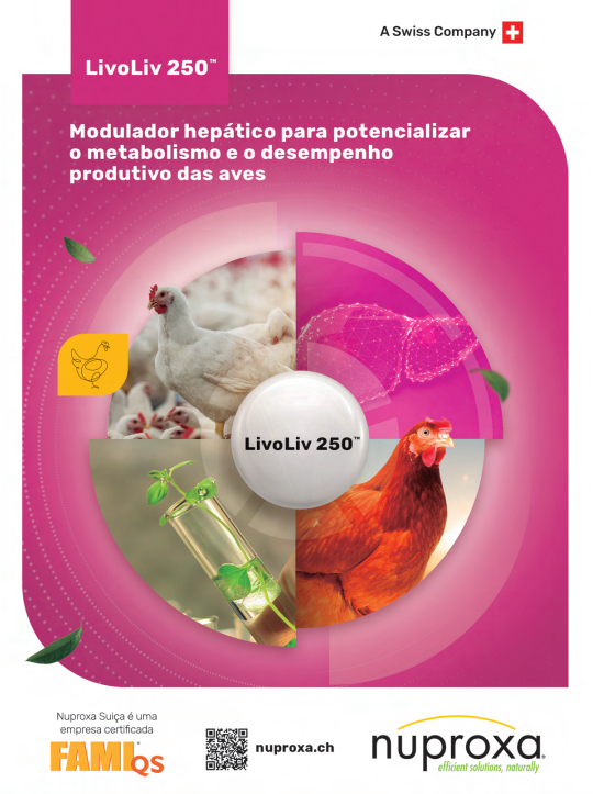 Biggvet Produtos Veterin�rios -
