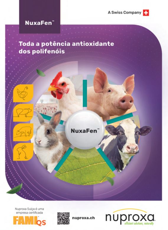 Biggvet Produtos Veterin�rios -