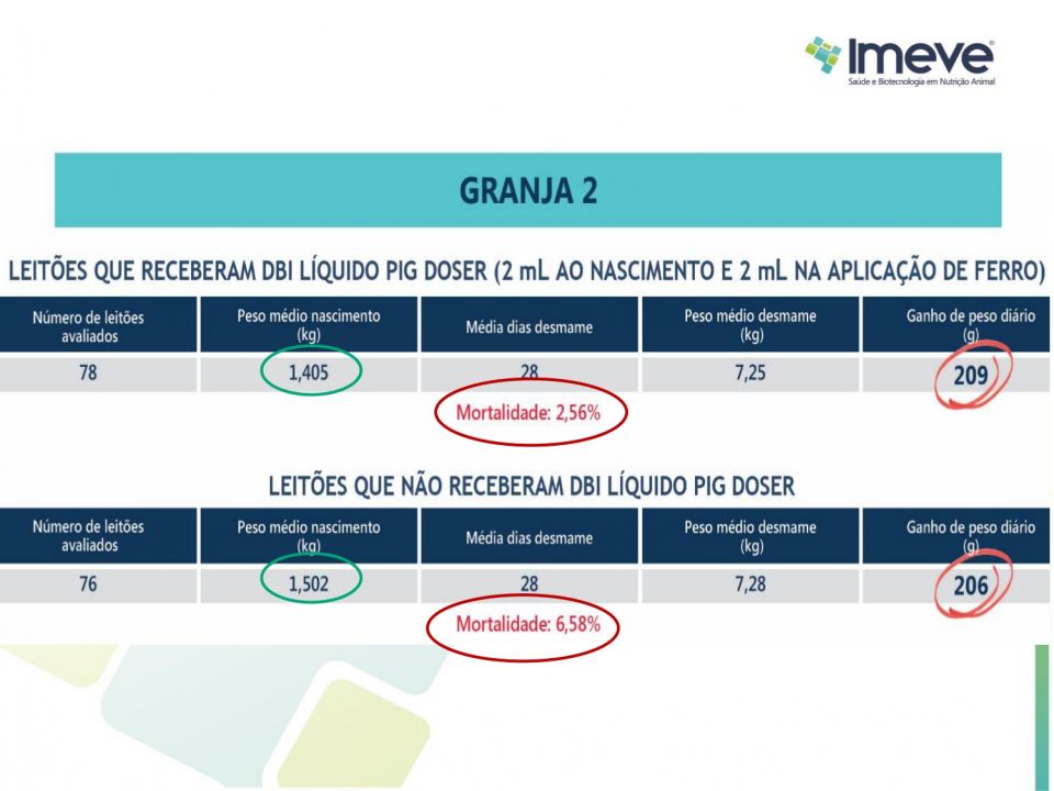 Biggvet Produtos Veterin�rios -