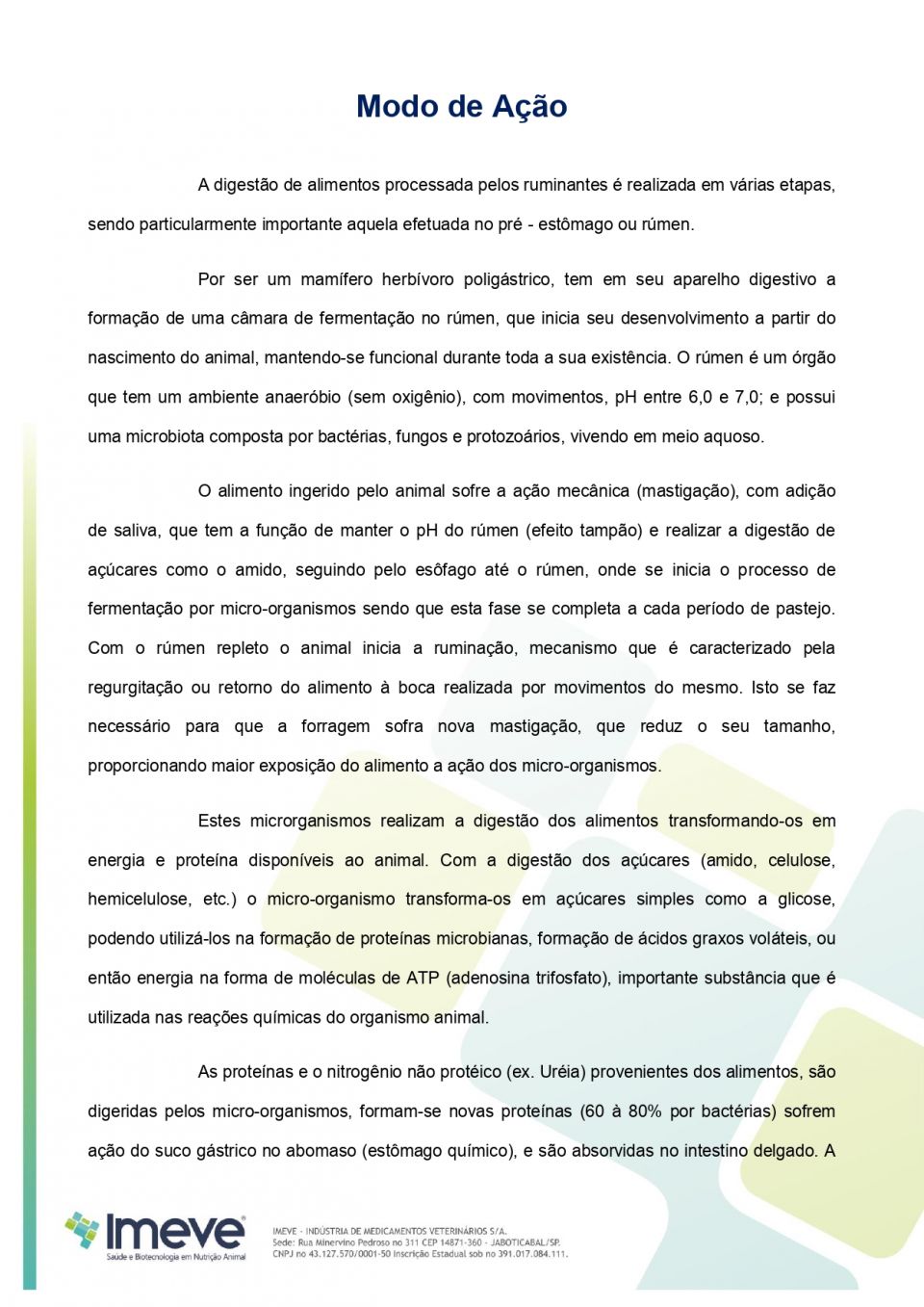 Biggvet Produtos Veterin�rios -