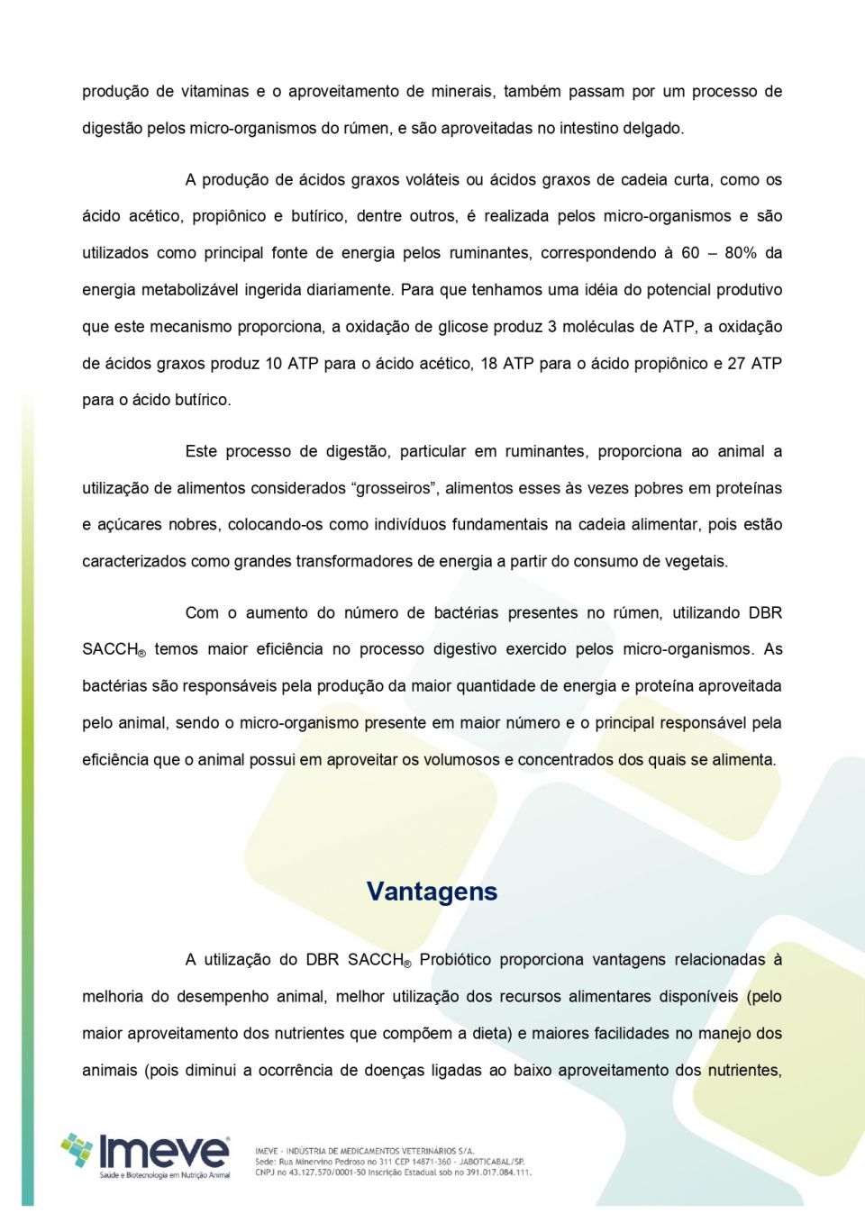 Biggvet Produtos Veterin�rios -