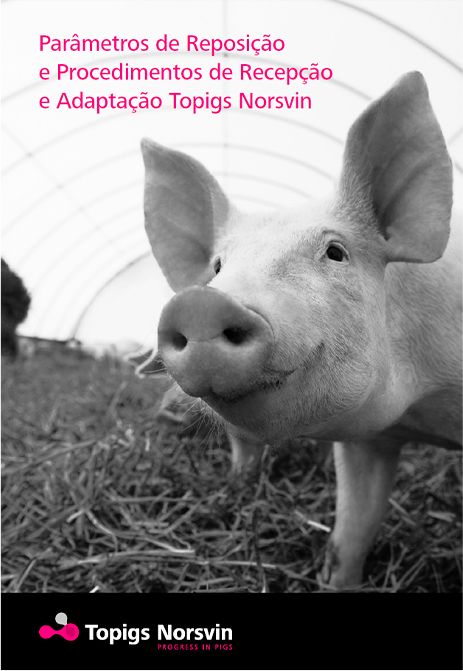 Biggvet Produtos Veterinrios -